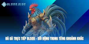 Đá gà trực tiếp tại BL555
